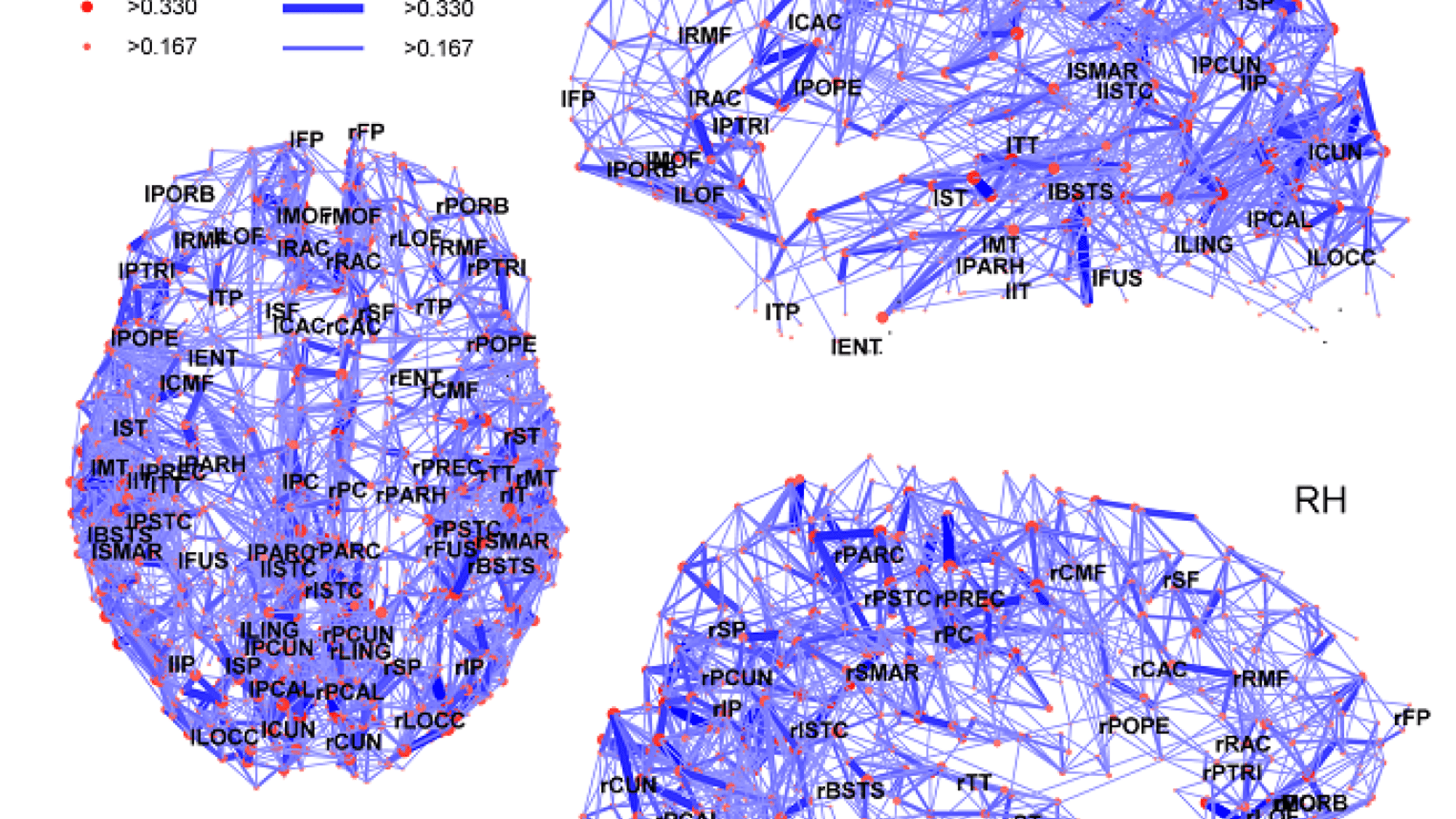 Connectome visualization
